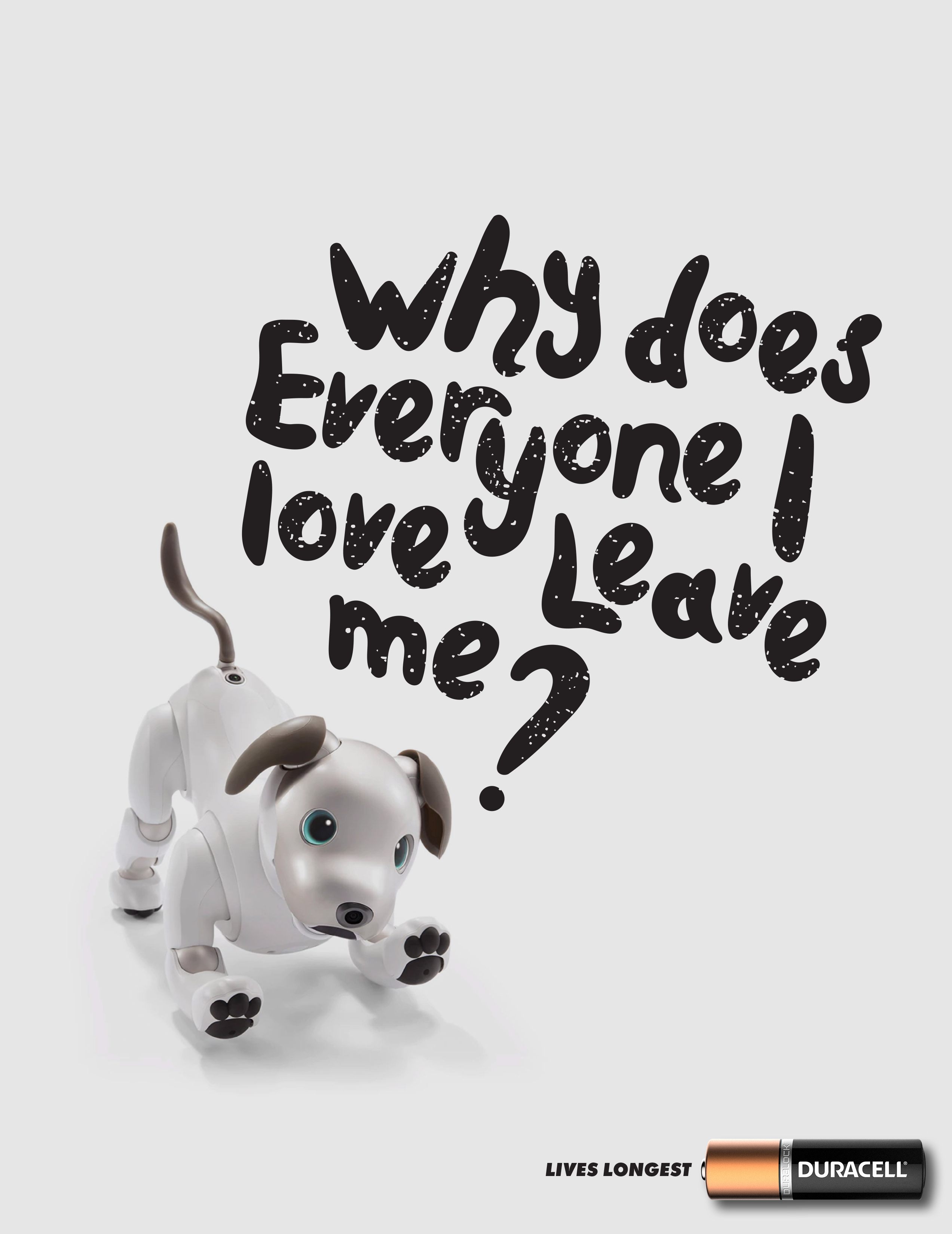 Duracell ambient — dog
